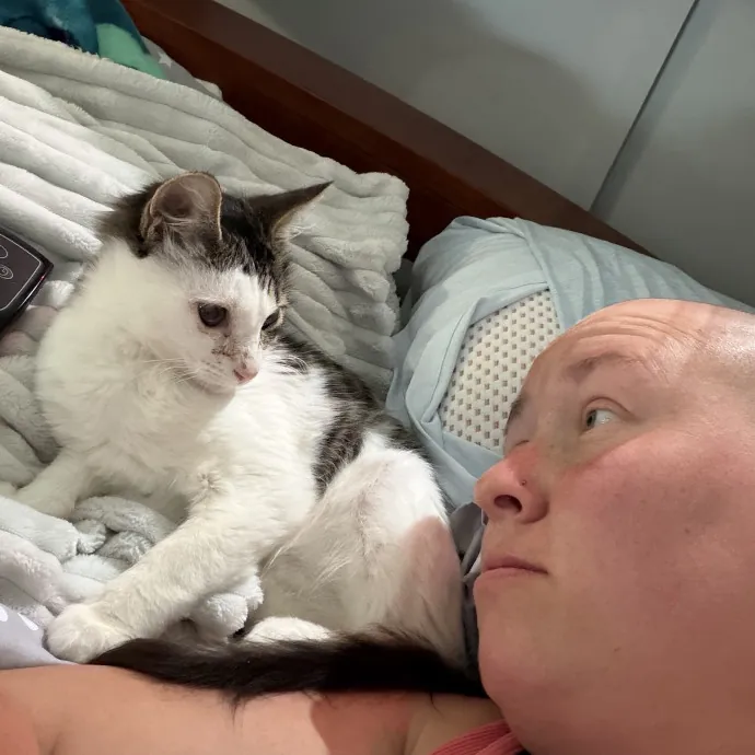 Cat Whisper Cat Mom
