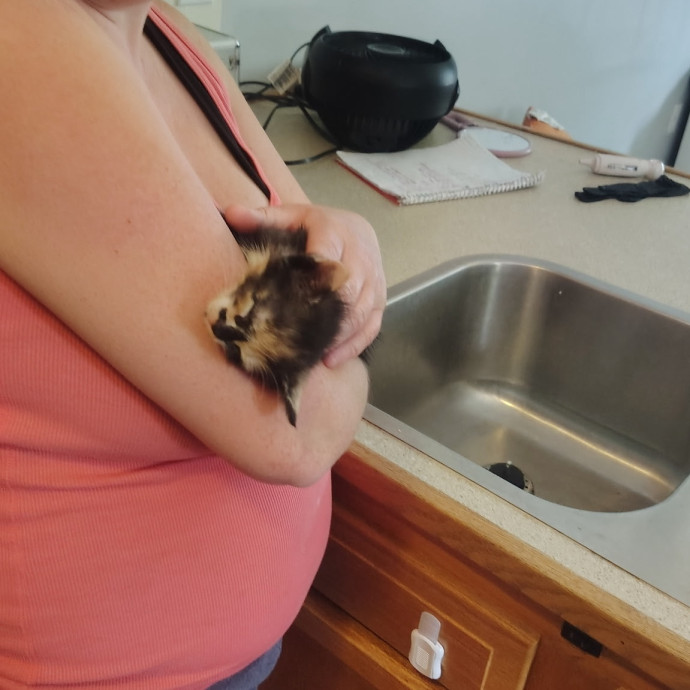 Loving Cat Mom Amber