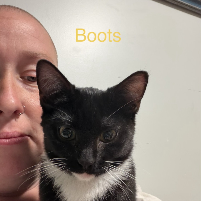 Loving Cat Mom Amber