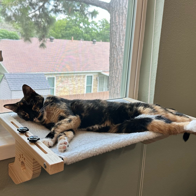 Haily - Your Kitty's Meow-Velous Minder