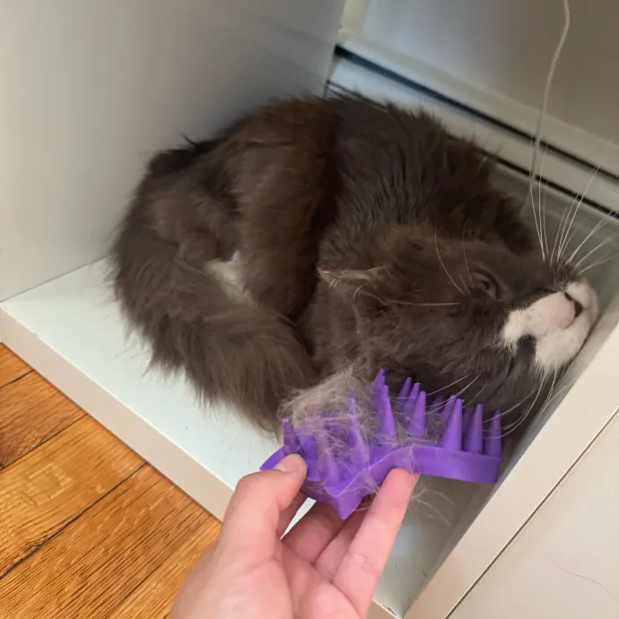 Amy's Purradise Cat Care