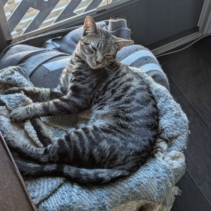 Tailored Support With Specialized Skills