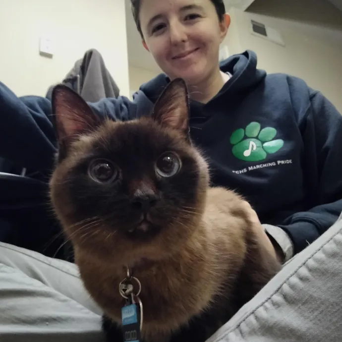 Tailored Support With Specialized Skills