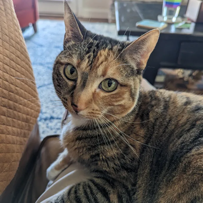 Tailored Support With Specialized Skills