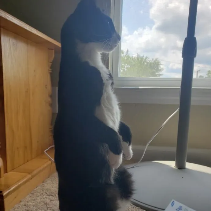 Tailored Support With Specialized Skills photo 4