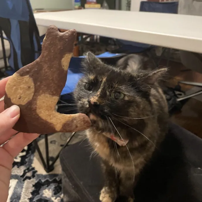 Tailored Support With Specialized Skills photo 2