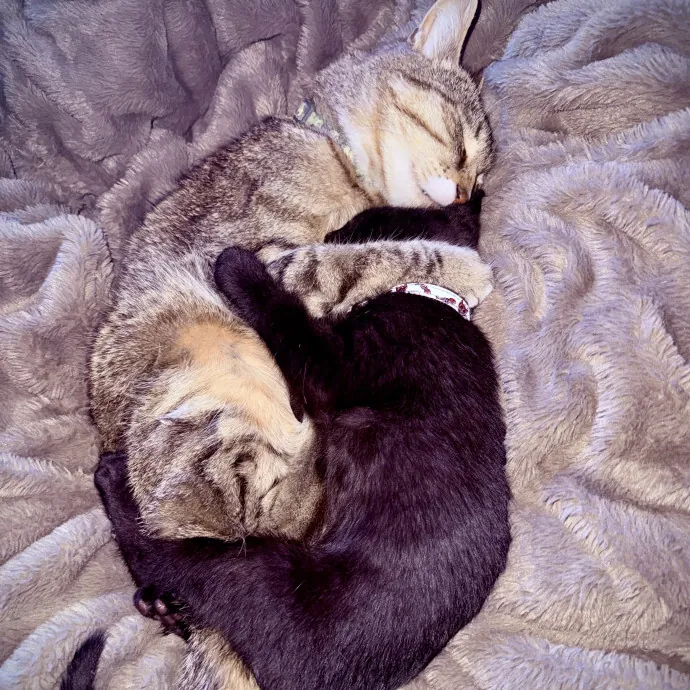 Kayla M.