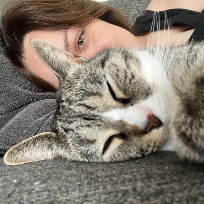 Cat Care From An Experienced Cat Mom photo 3