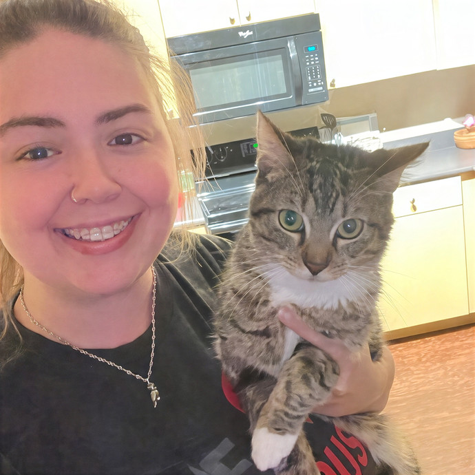 Cats At Peace With Madison In Austin