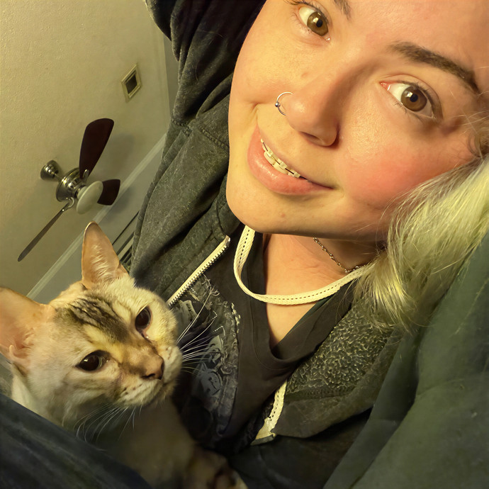 Cats At Peace With Madison In Austin