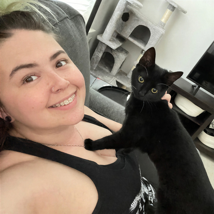 Cats At Peace With Madison In Austin