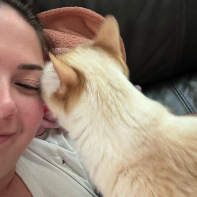 Cats At Peace With Madison In Austin photo 2