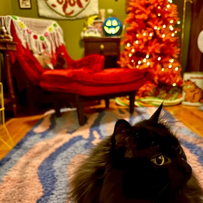 Tell Your Cat I Said Pspsps