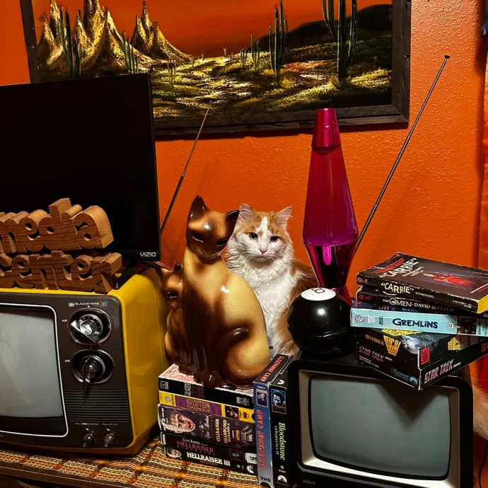 Tell Your Cat I Said Pspsps photo 3