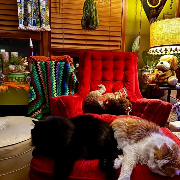 Tell Your Cat I Said Pspsps photo 2