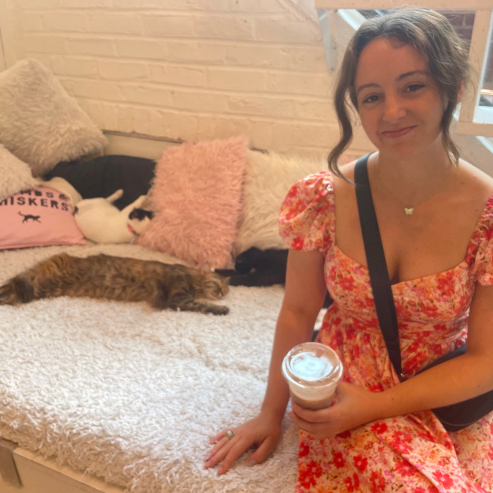 Caring Affordable Cat Sitter photo 2