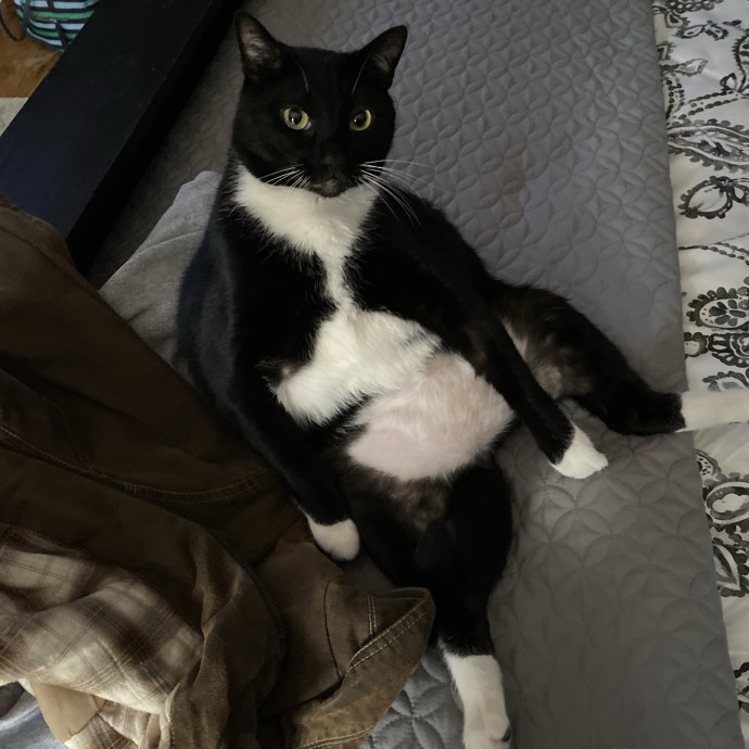 Caring And Welcoming Sitter Near You