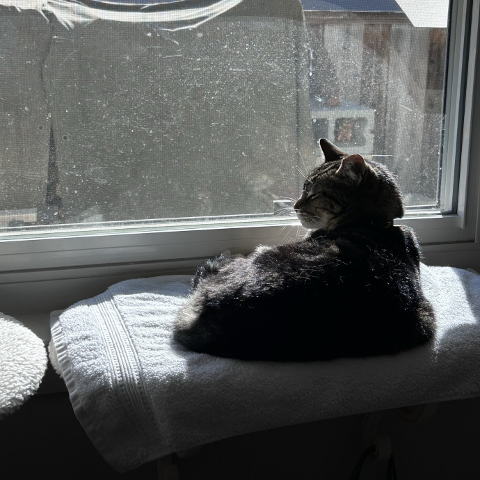 Caring And Welcoming Sitter Near You photo 3