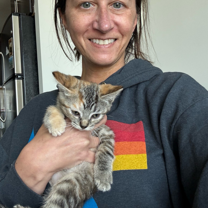 Trusted Cat Care From A Cat Lady