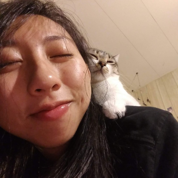 Christina's Cat Care