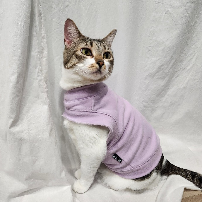 Christina's Cat Care