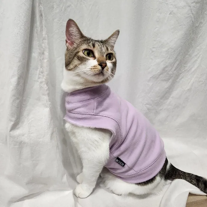 Christina's Cat Care