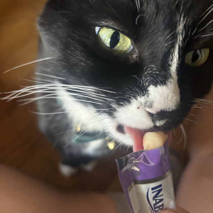 Researcher By Day Cat Lover All Day
