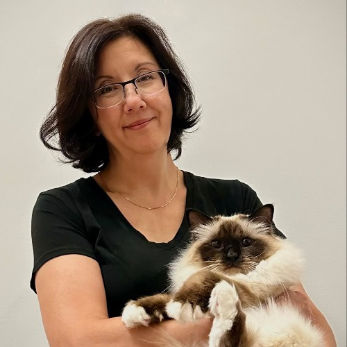 Rebecca's Purrfect Cat Sitting In Nova