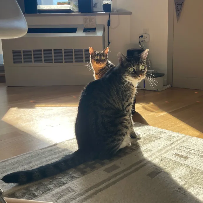 The Toebean Club