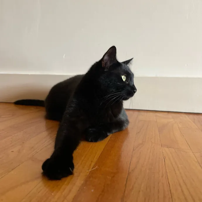 The Toebean Club