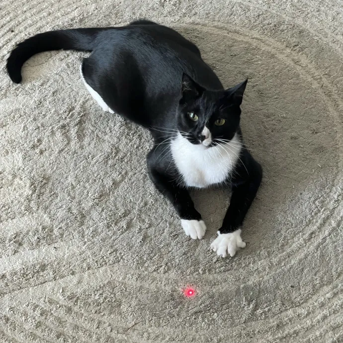 The Toebean Club