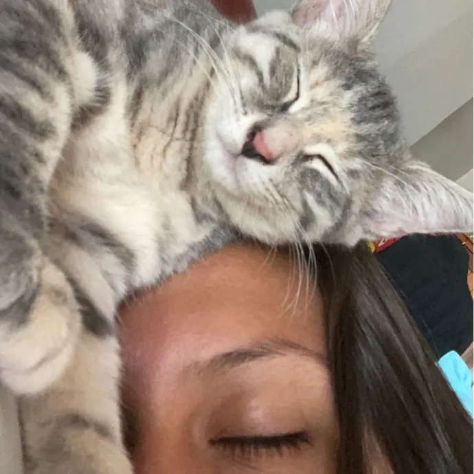 Erika The Cat Whisperer