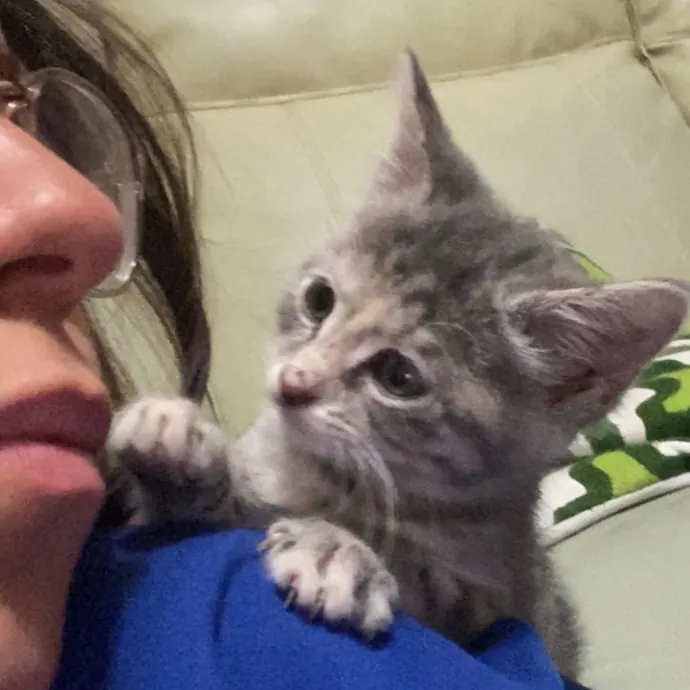 Erika The Cat Whisperer