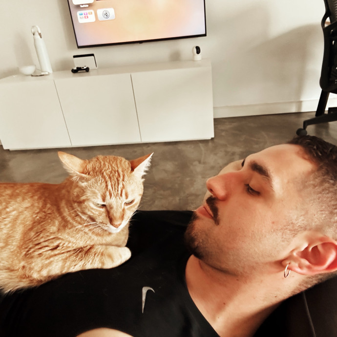 Your Cat's New Best Friend