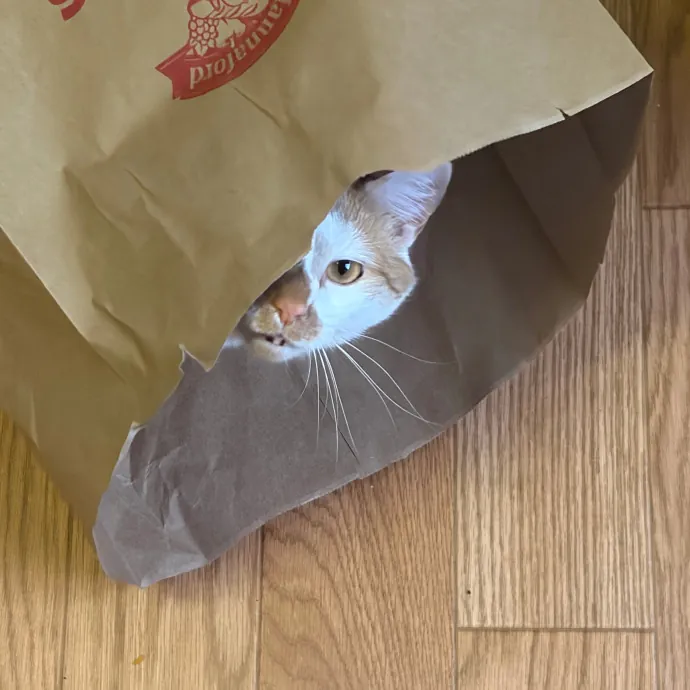 Jennifer D.