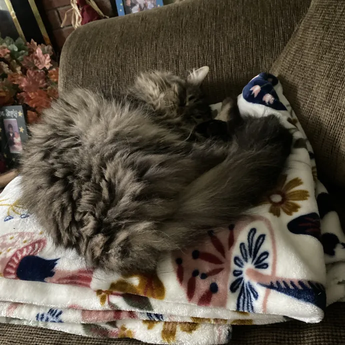 Patienence Love  Care For Your Baby