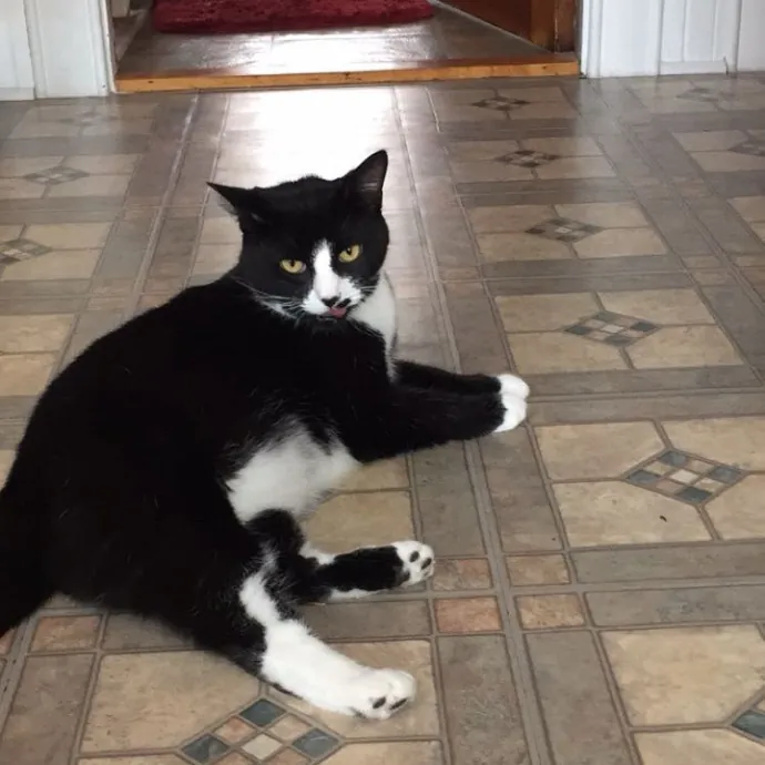 Patienence Love  Care For Your Baby