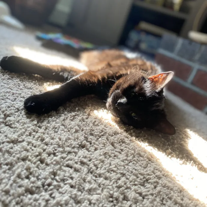 Patienence Love  Care For Your Baby