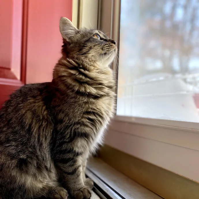 Patienence Love  Care For Your Baby