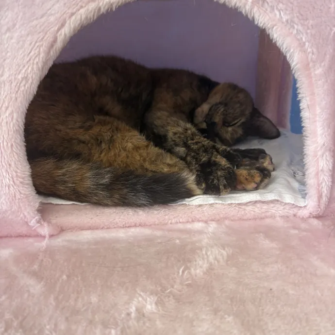 Patienence Love  Care For Your Baby