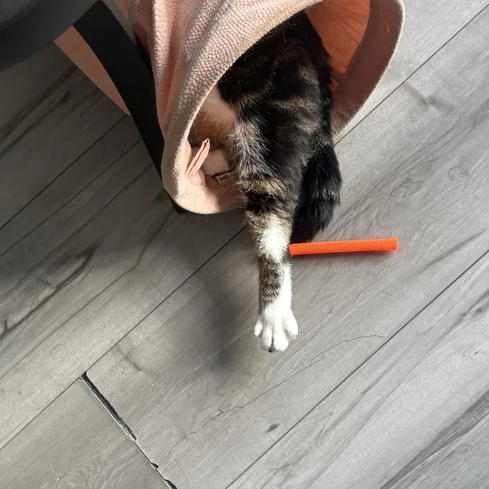 Patienence Love  Care For Your Baby