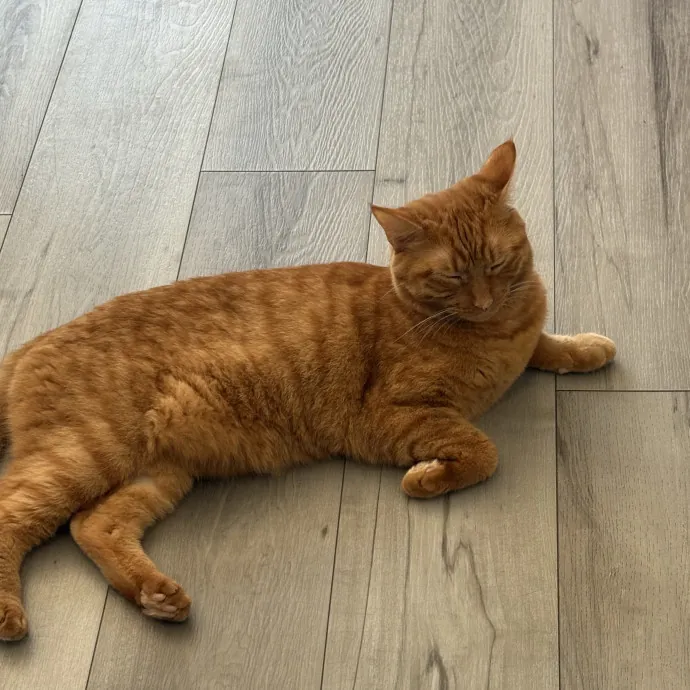 Patienence Love  Care For Your Baby