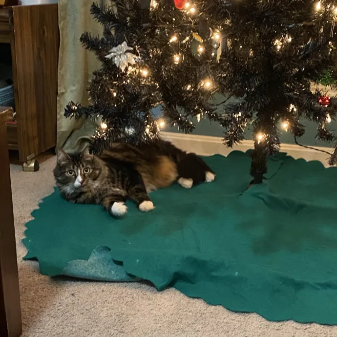 Patienence Love  Care For Your Baby