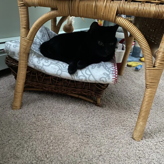 Patienence Love  Care For Your Baby