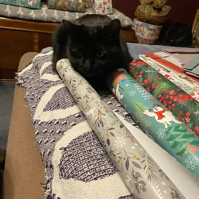 Patienence Love  Care For Your Baby