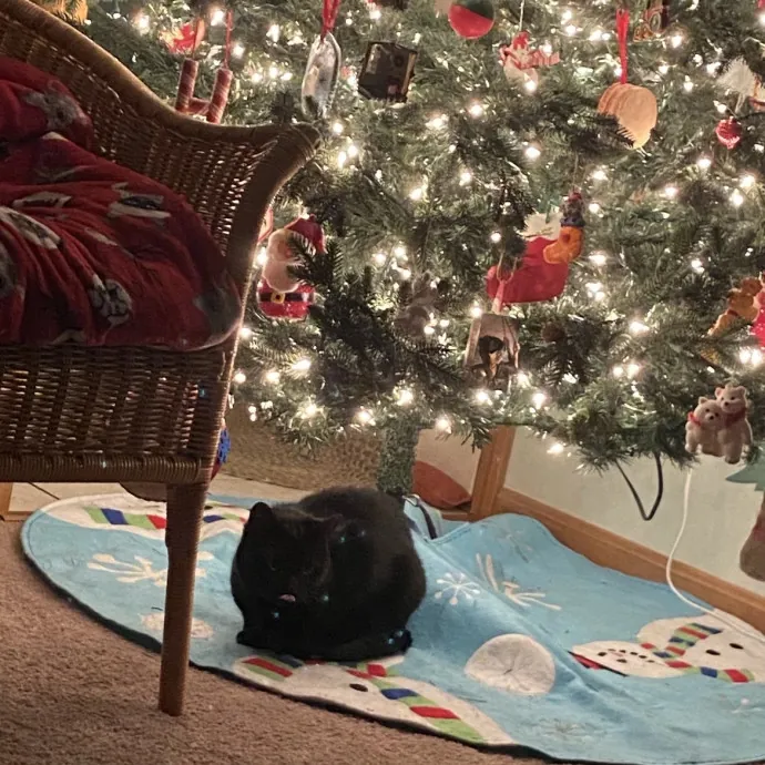 Patienence Love  Care For Your Baby