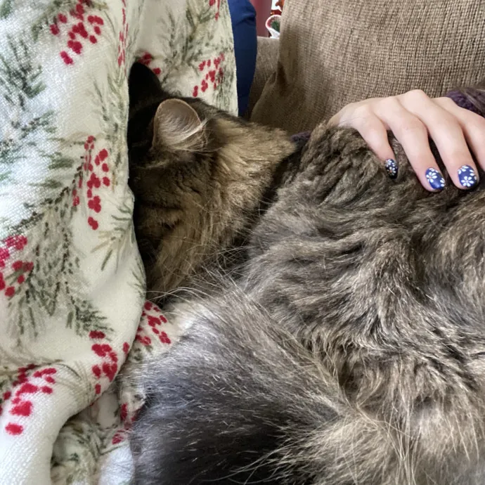 Patienence Love  Care For Your Baby