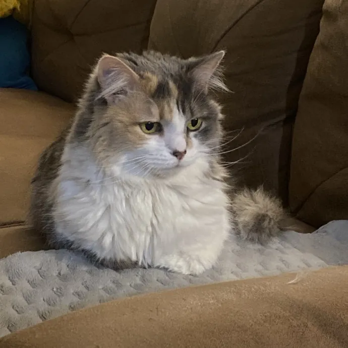 Patienence Love  Care For Your Baby