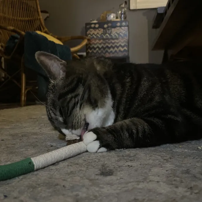 Patienence Love  Care For Your Baby