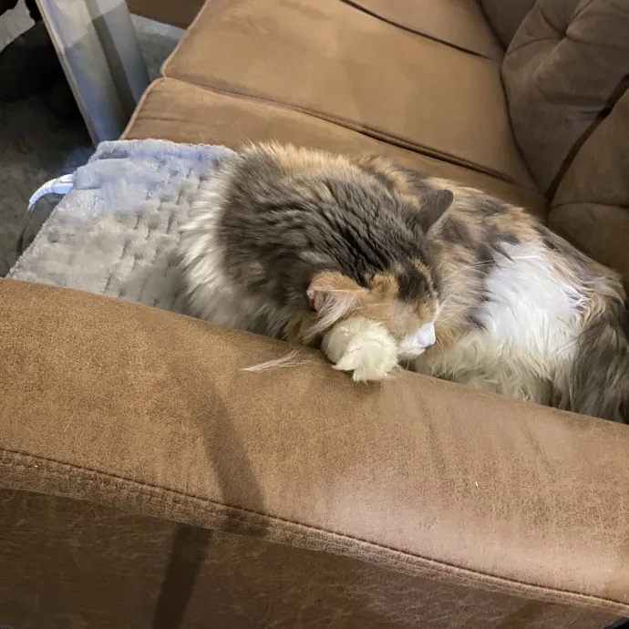 Patienence Love  Care For Your Baby